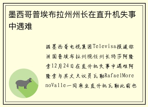 墨西哥普埃布拉州州长在直升机失事中遇难